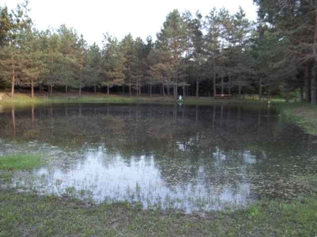 4286 Mortimer Line Road Croswell, MI 48422 - Photo 6 of 25 31096196-5.JPG