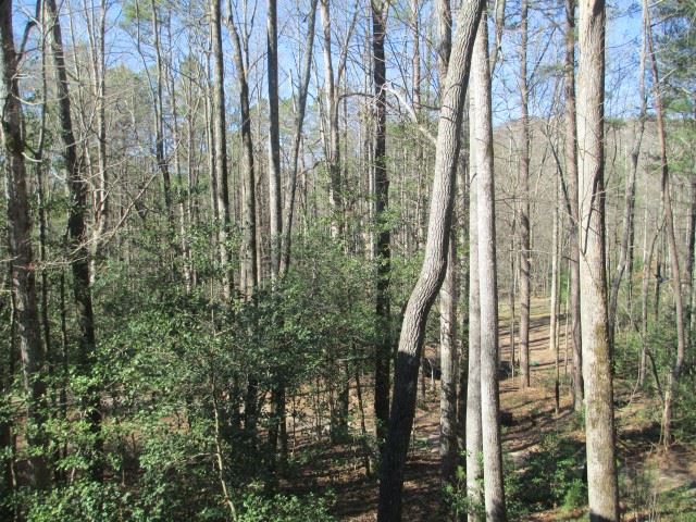 21 Astor Road Mountain Rest, SC 29664 - Photo 1 of 1 Gallery Image 1