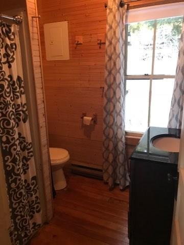 244 Golden Pond Lane Rome, ME 04963 - Photo 16 of 22 Photo