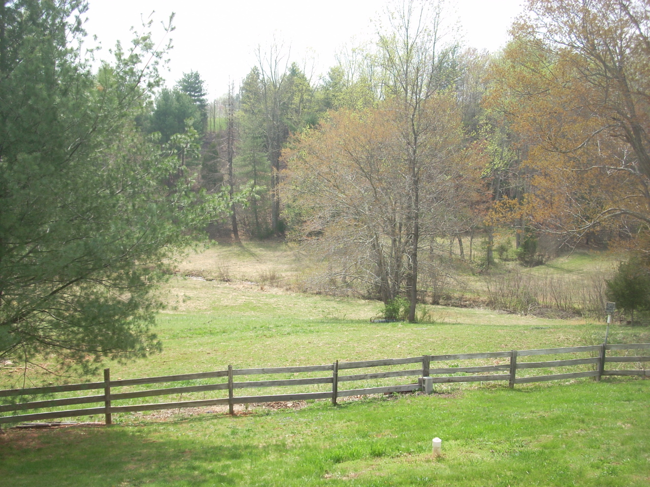 325 Sawmill Road Ferrum, VA 24088 - Photo 5 of 19