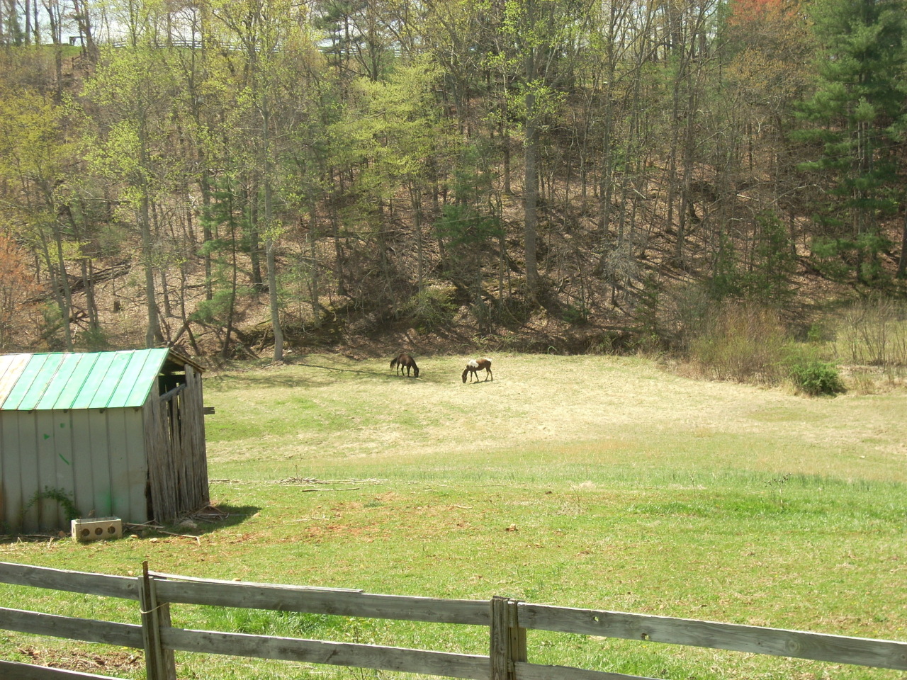 325 Sawmill Road Ferrum, VA 24088 - Photo 6 of 19 a view of ocean from a bathroom