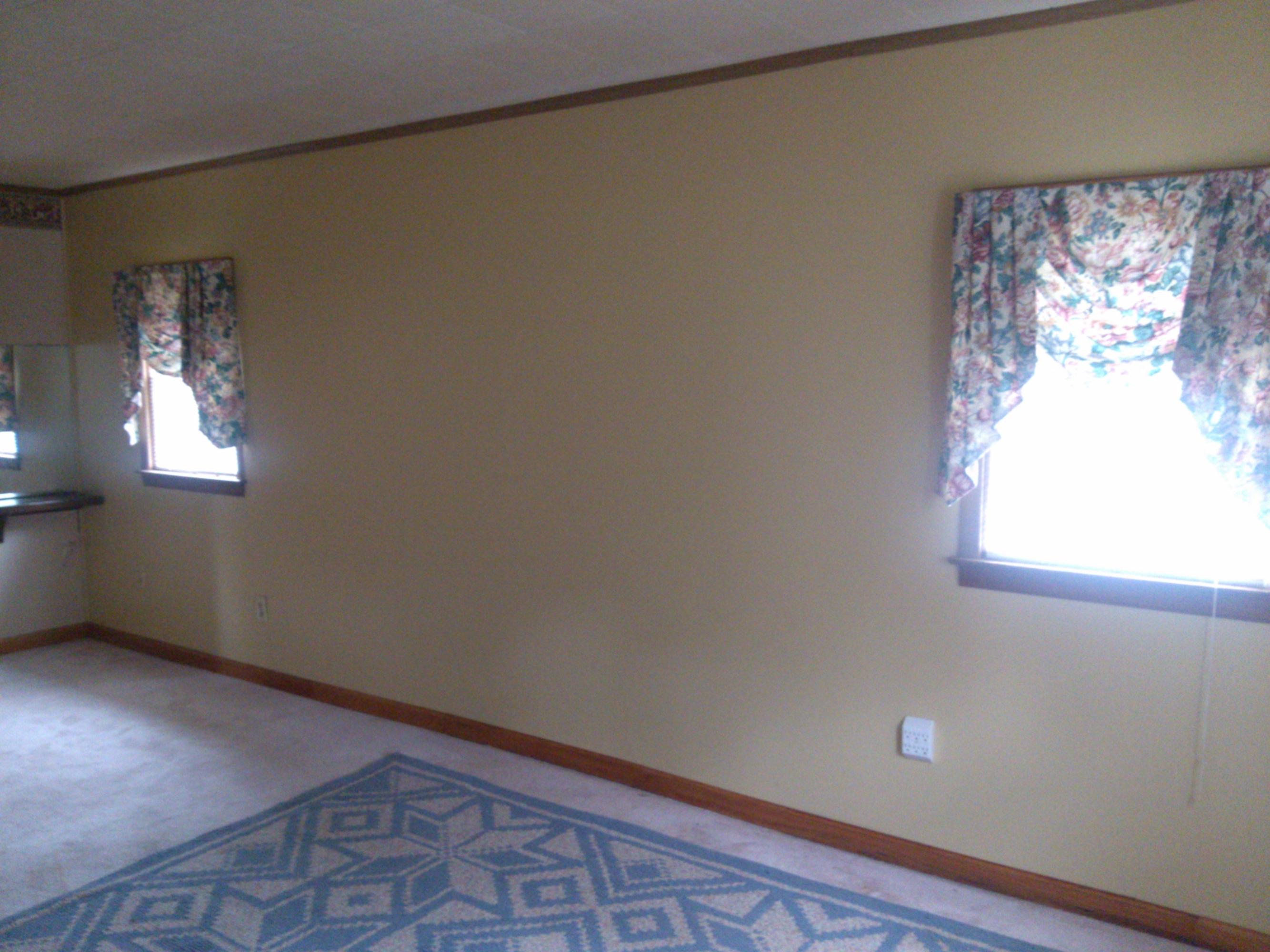 325 Sawmill Road Ferrum, VA 24088 - Photo 9 of 19 an empty room with windows