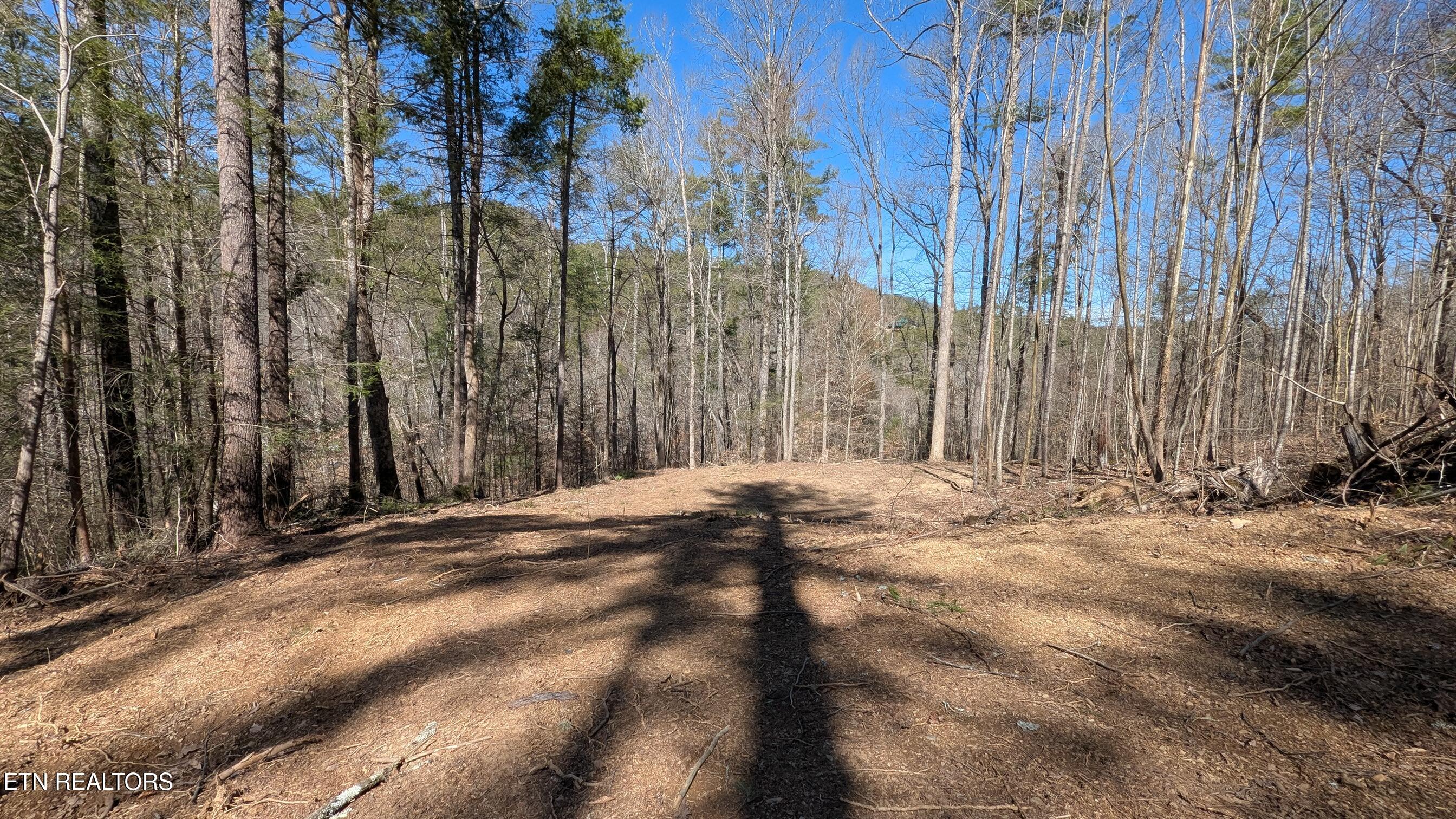 14 Acres Road Townsend, TN 37882 - Photo 7 of 13 Carrs Creek 14 acre parcel