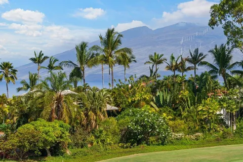 a view of a garden with palm trees