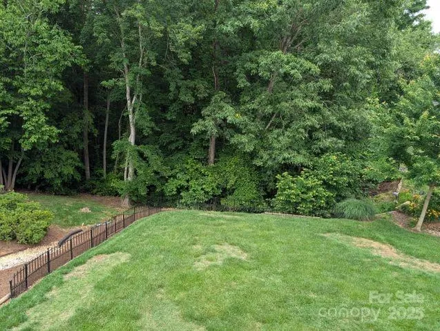 a view of a yard with a trees