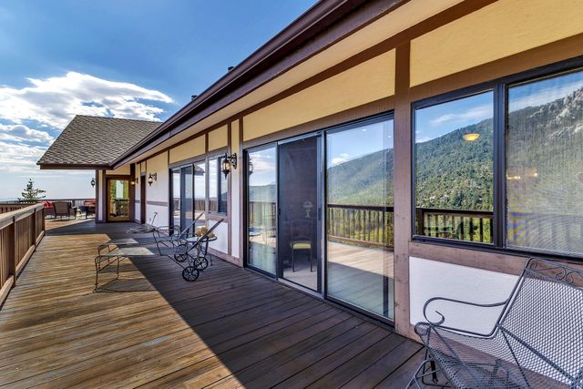 a view of a bunch of trees and sky