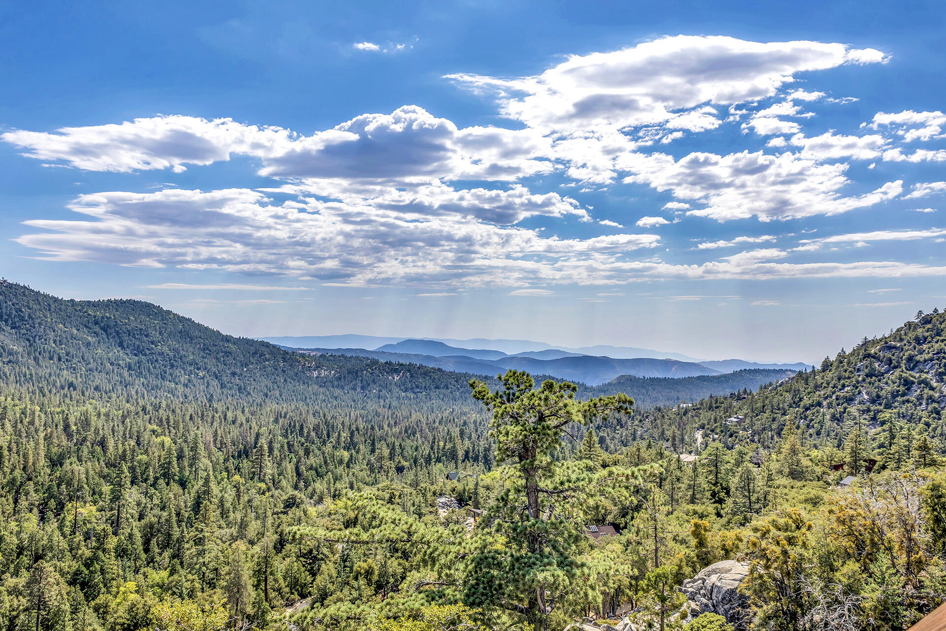 24740 Pioneer Road Idyllwild, CA 92549 - Photo 34 of 59 a view of a bunch of trees and sky
