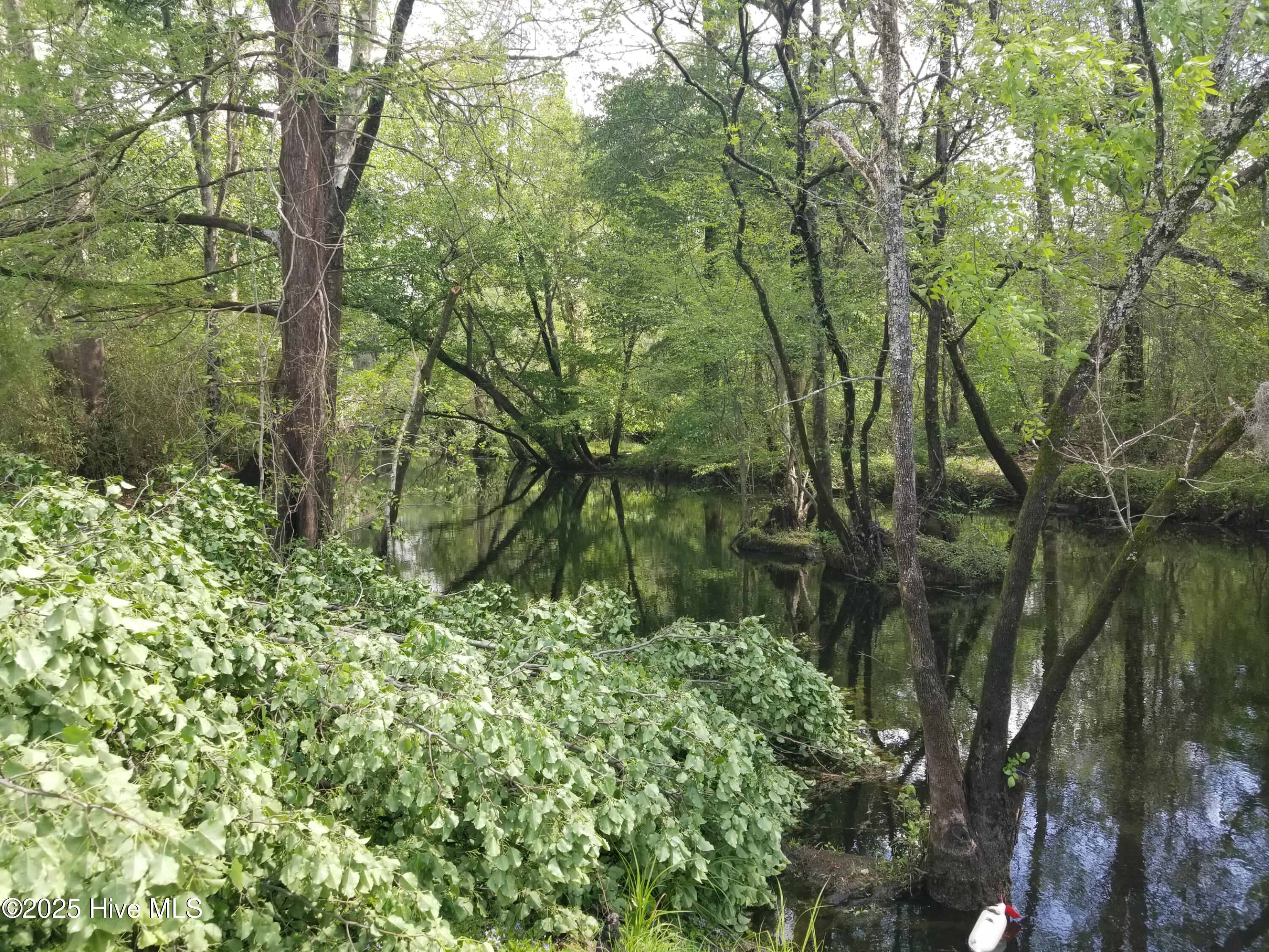 178 Poker House Road Grimesland, NC 27837 - Photo 5 of 22 River in Grimesland adds to the scenery.