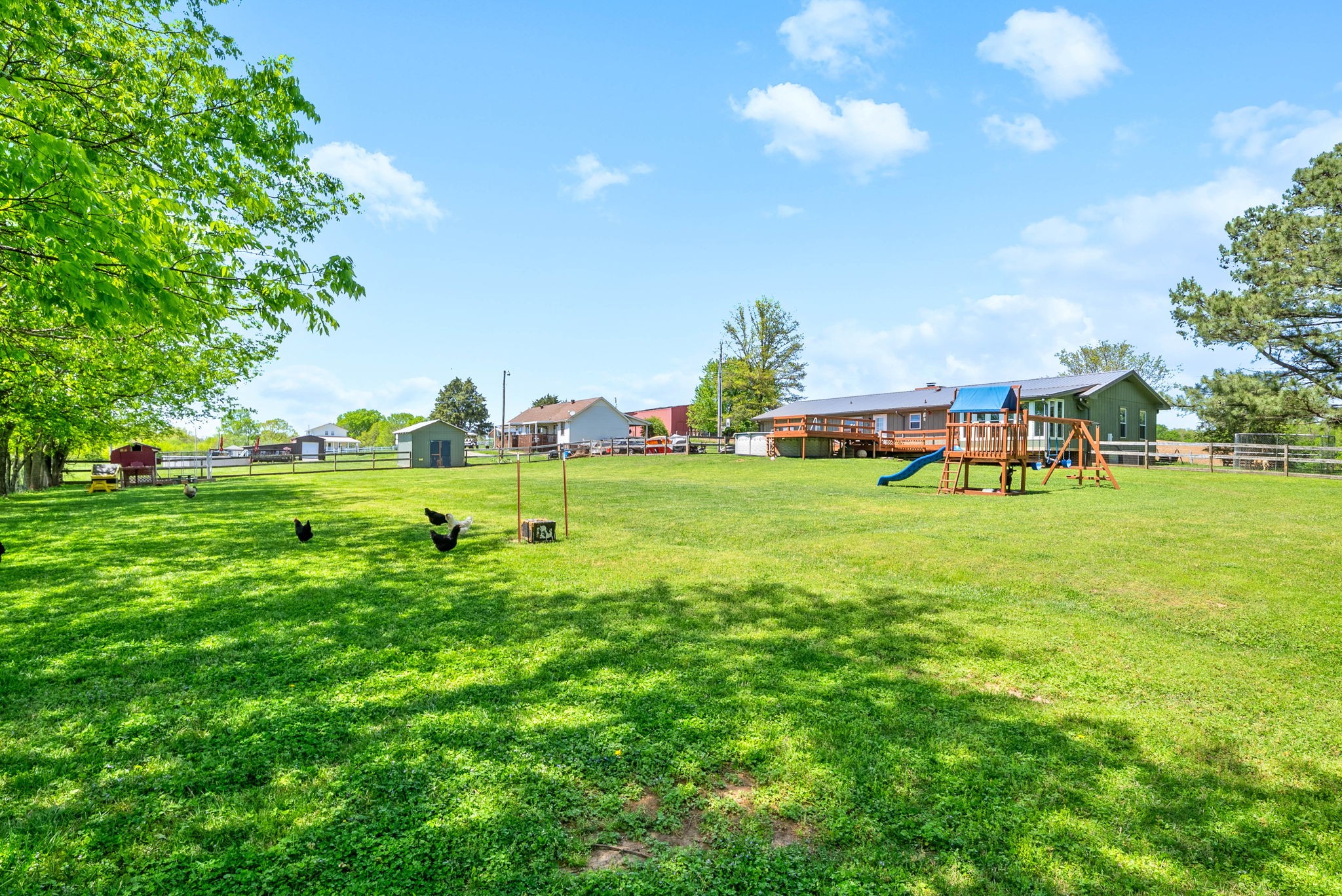 558 Bumpus Road Cunningham, TN 37052 - Photo 53 of 64 a view of a park with large trees