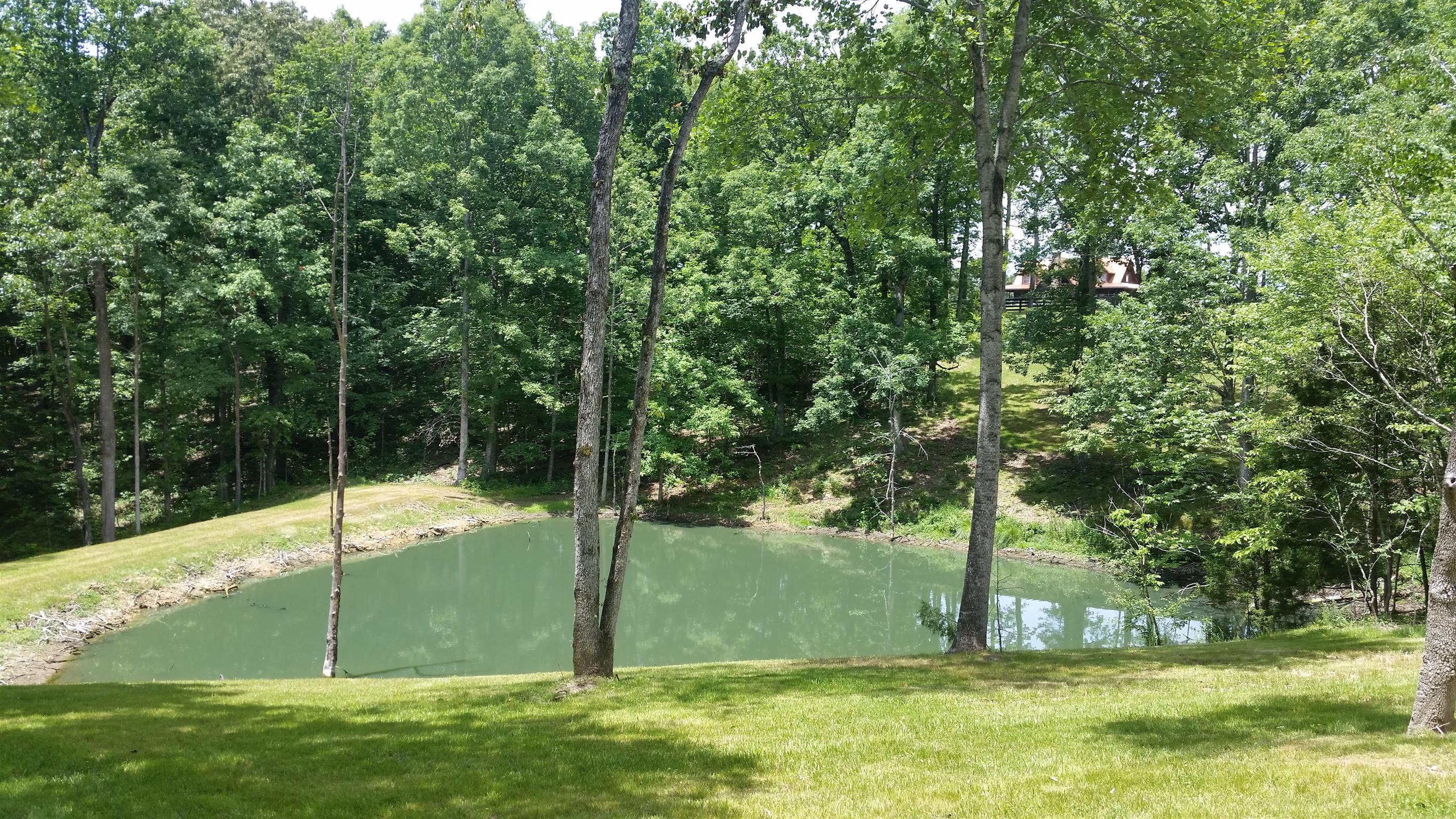 8 Liberty Road Fairview, TN 37062 - Photo 1 of 8 a view of a backyard