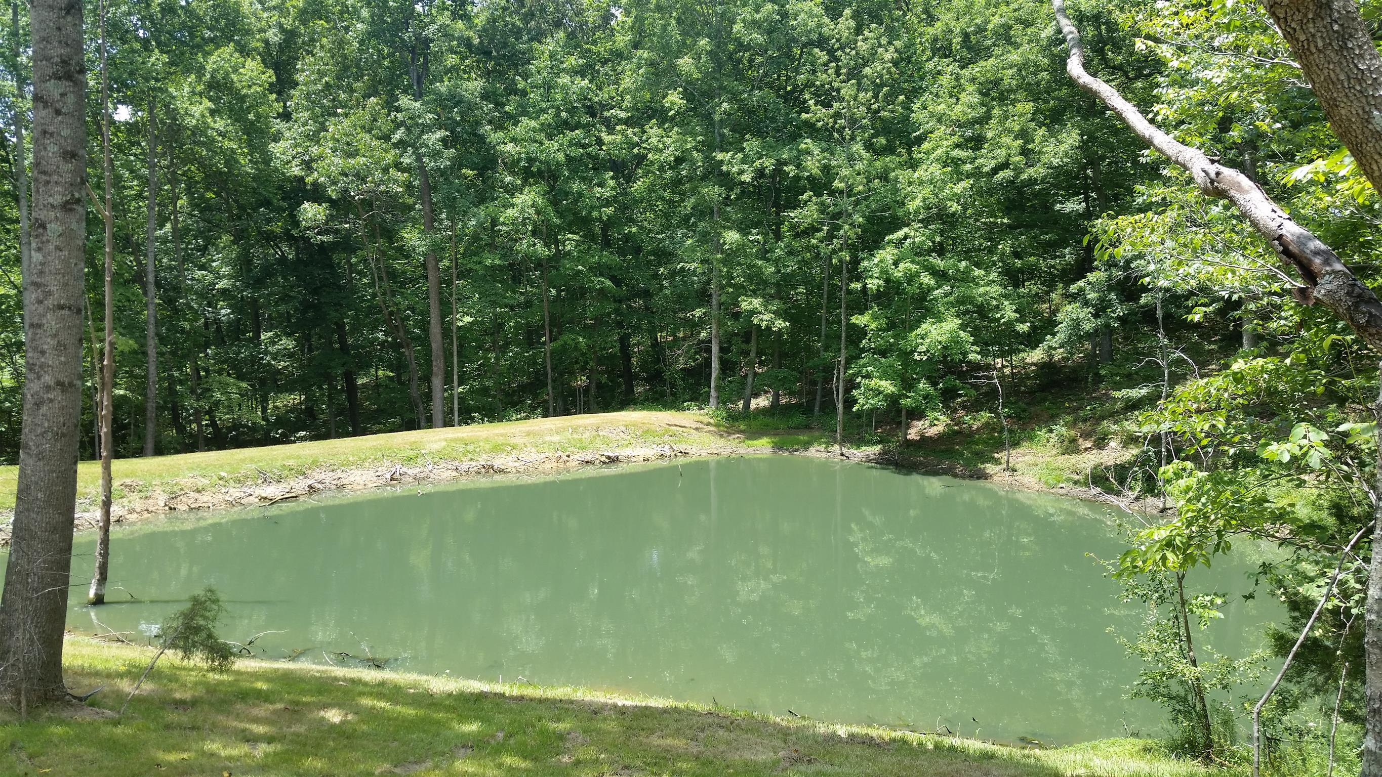 8 Liberty Road Fairview, TN 37062 - Photo 2 of 8 a view of a outdoor space