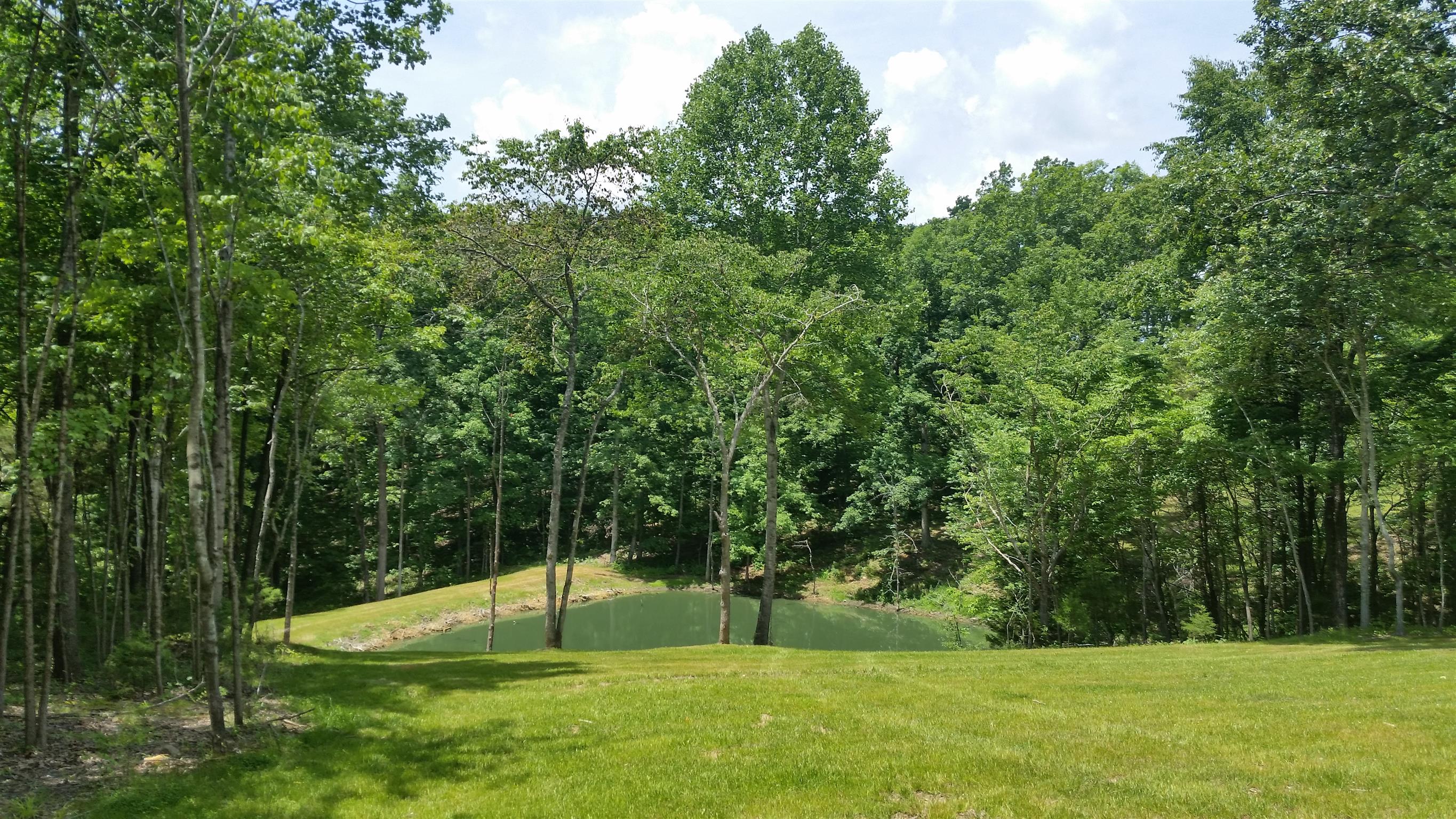 8 Liberty Road Fairview, TN 37062 - Photo 3 of 8