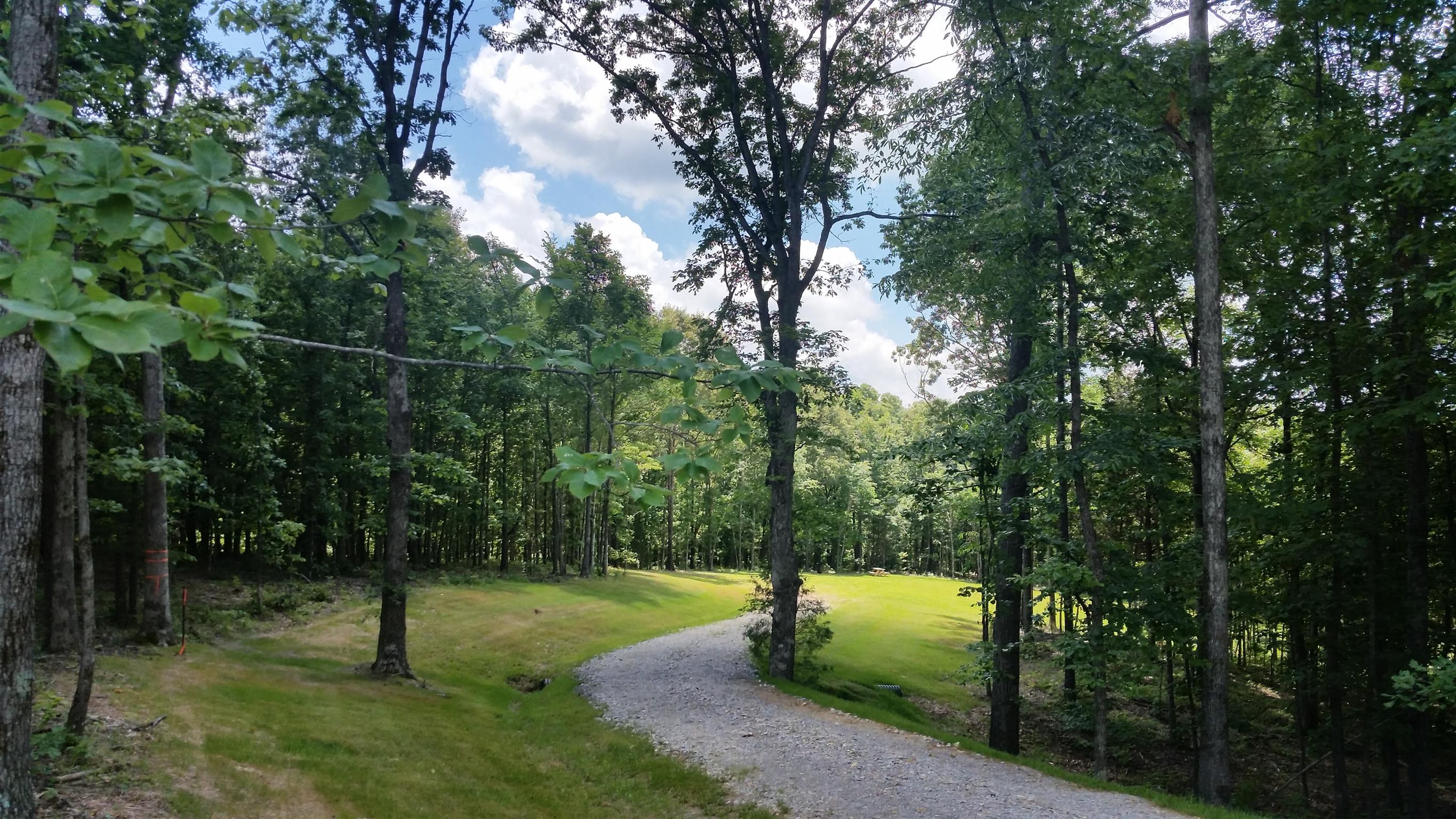 8 Liberty Road Fairview, TN 37062 - Photo 4 of 8 a green field with lots of trees in it