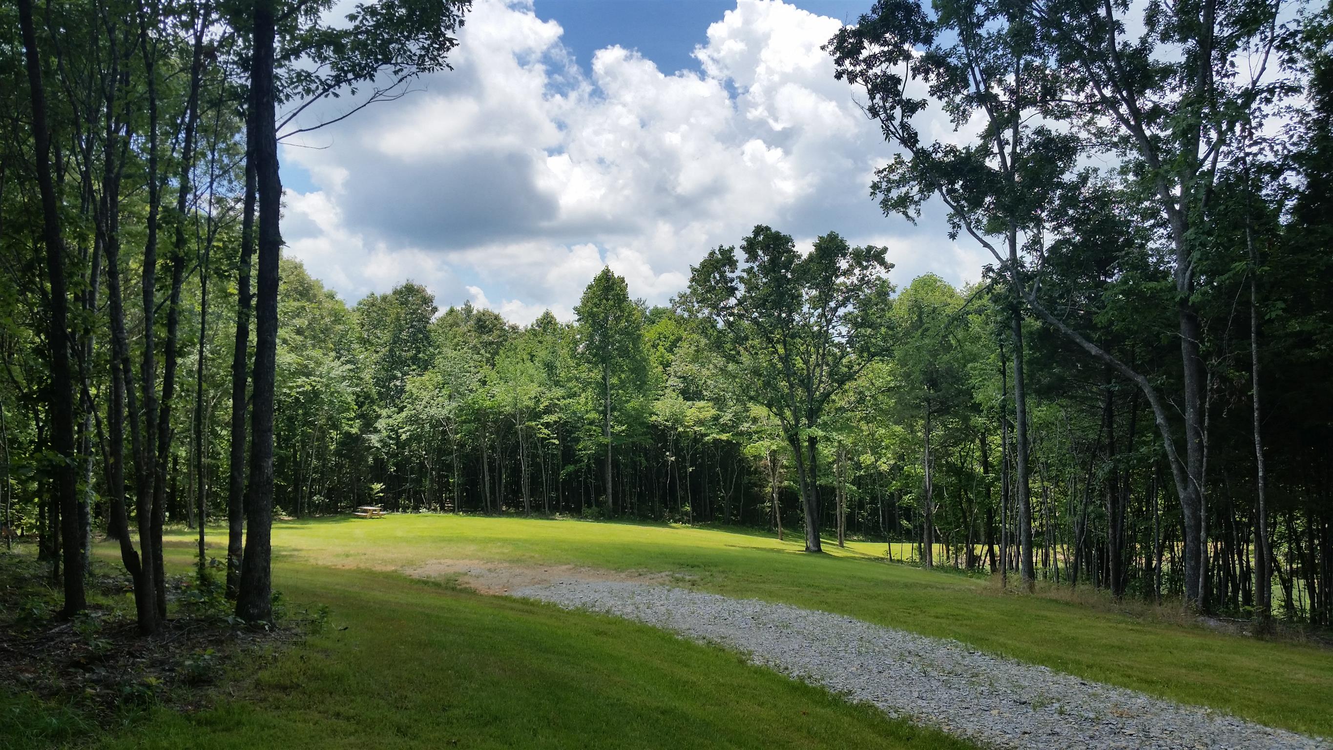 8 Liberty Road Fairview, TN 37062 - Photo 5 of 8 a view of a park