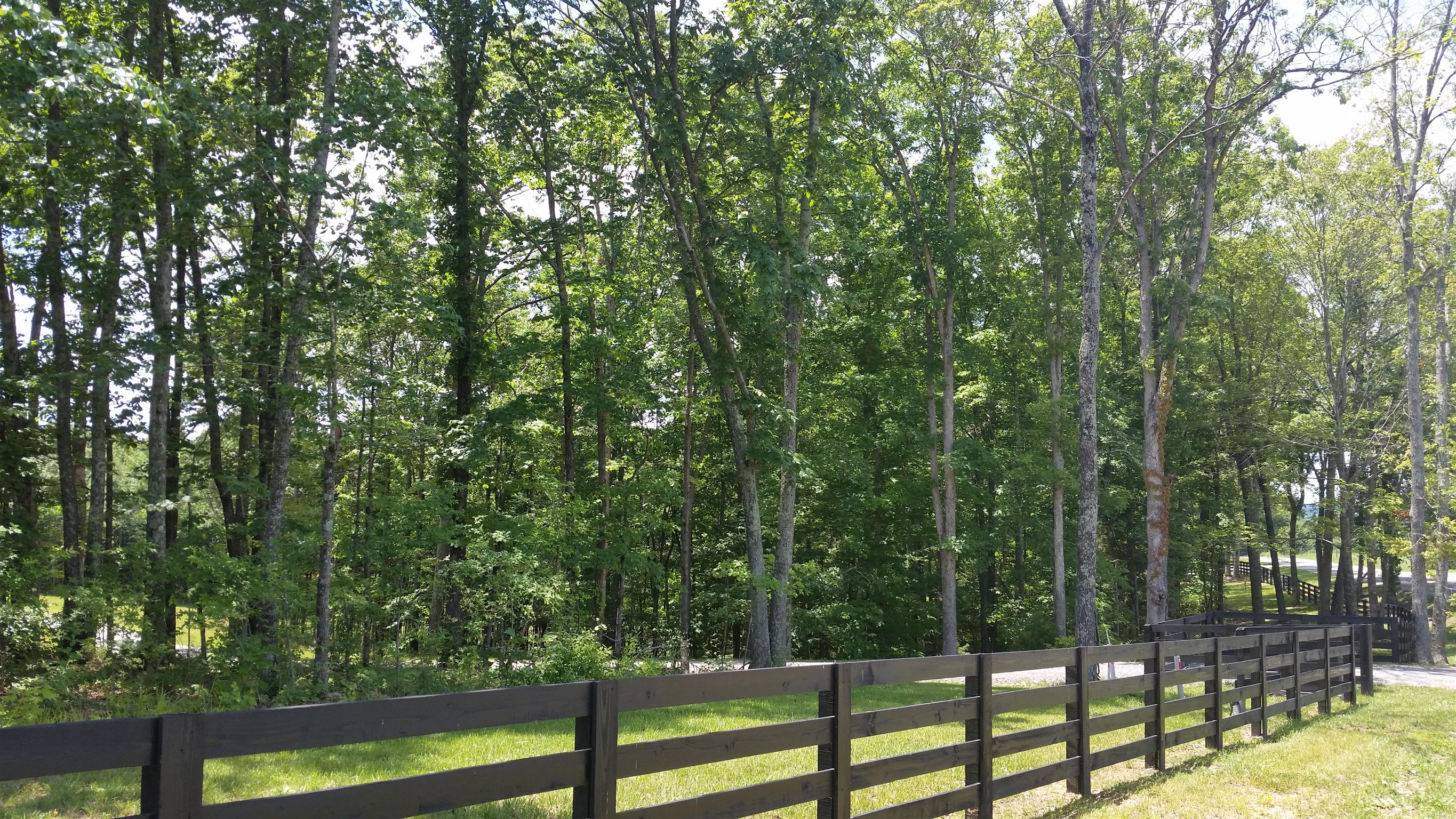 8 Liberty Road Fairview, TN 37062 - Photo 8 of 8