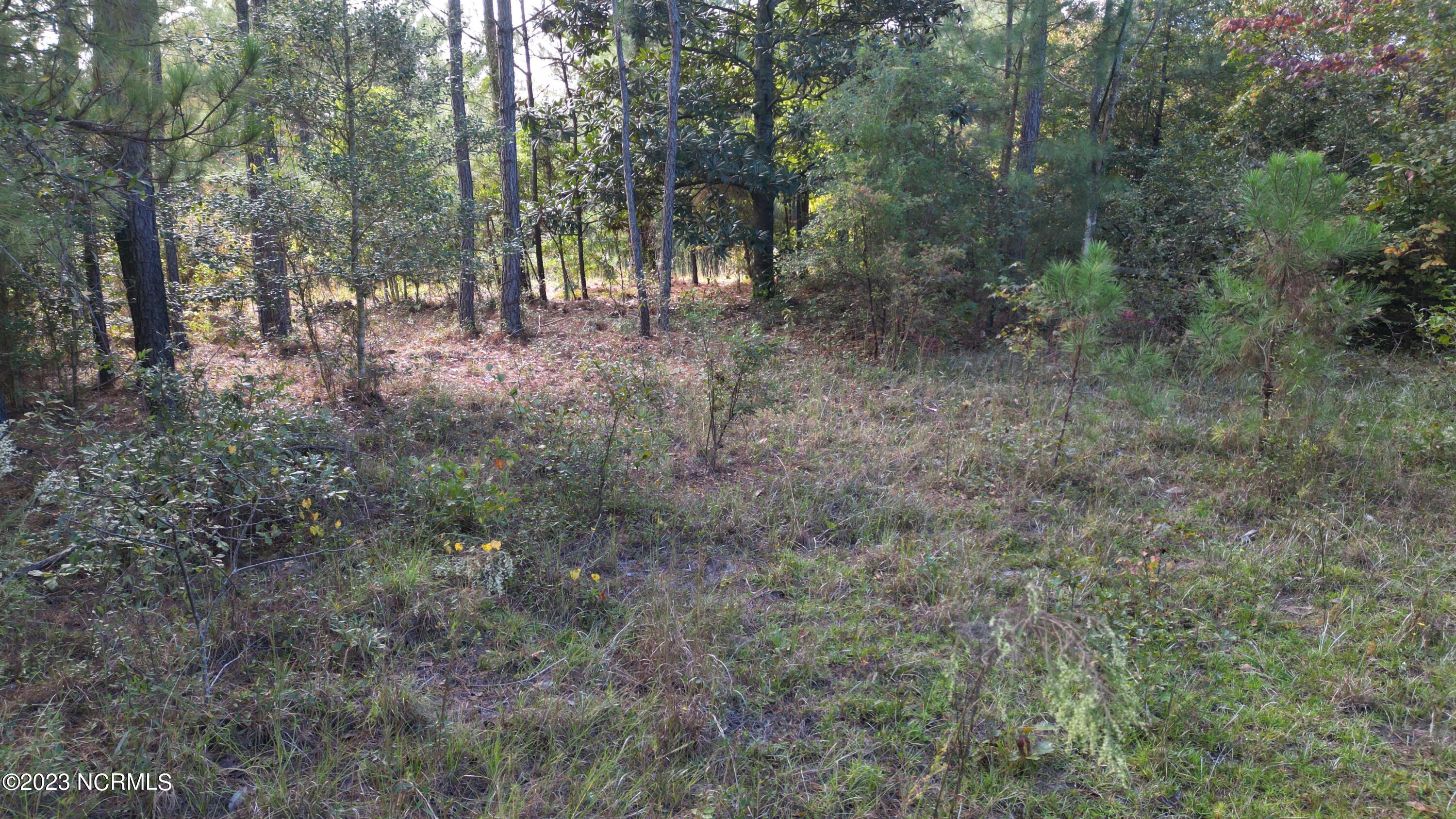 18.33-acre McPherson Road Vass, NC 28394 - Photo 28 of 39 DJI_0147