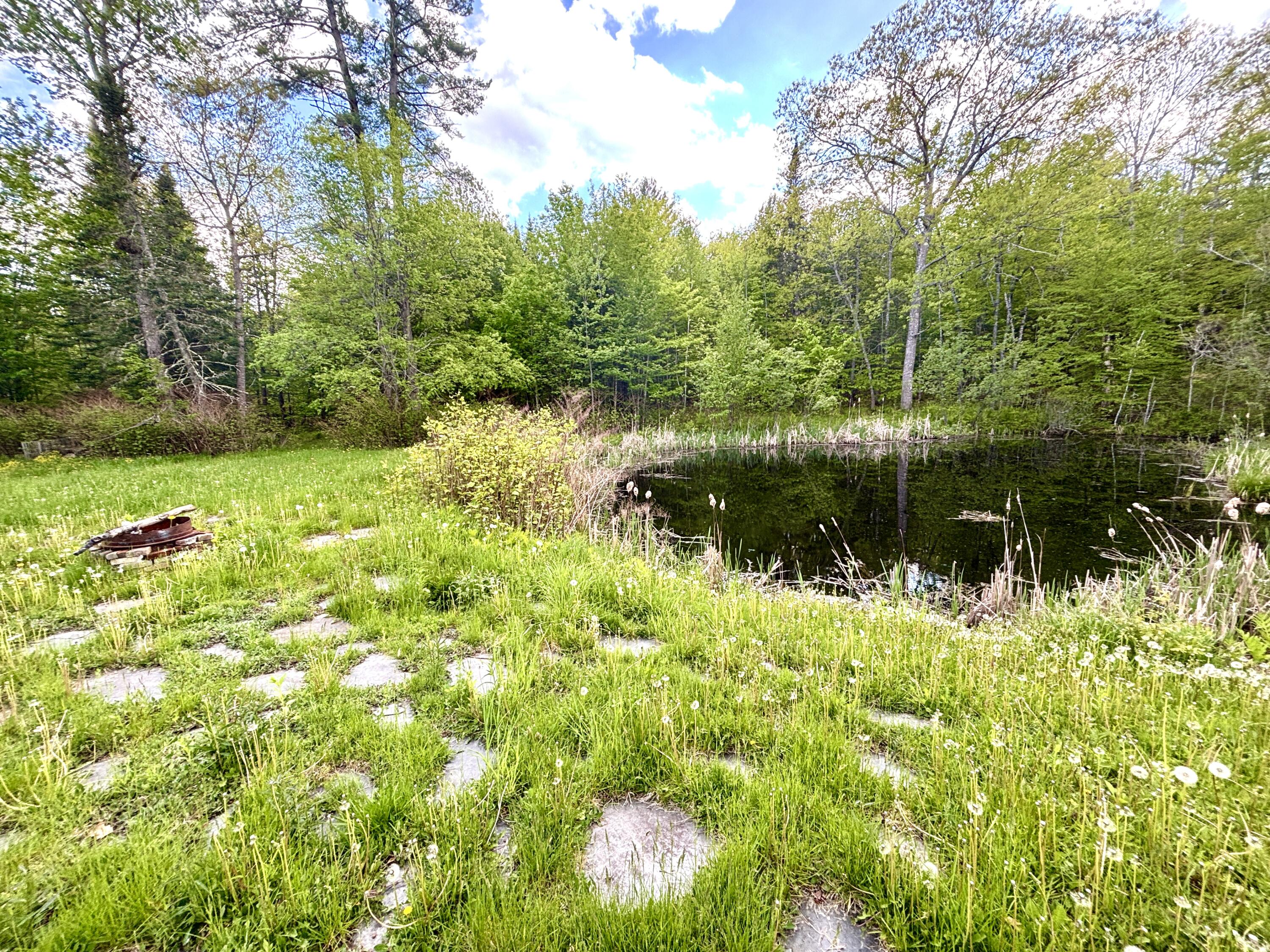 728 Sebec Village Road Sebec, ME 04481 - Photo 11 of 55 Pond/Patio
