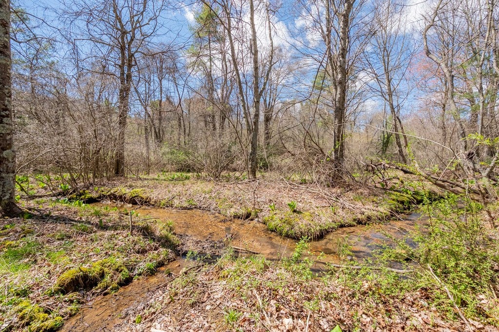 0 Windsor Road Northwest, Unit 3 Willis, VA 24380 - Photo 25 of 47 Gallery Image 25