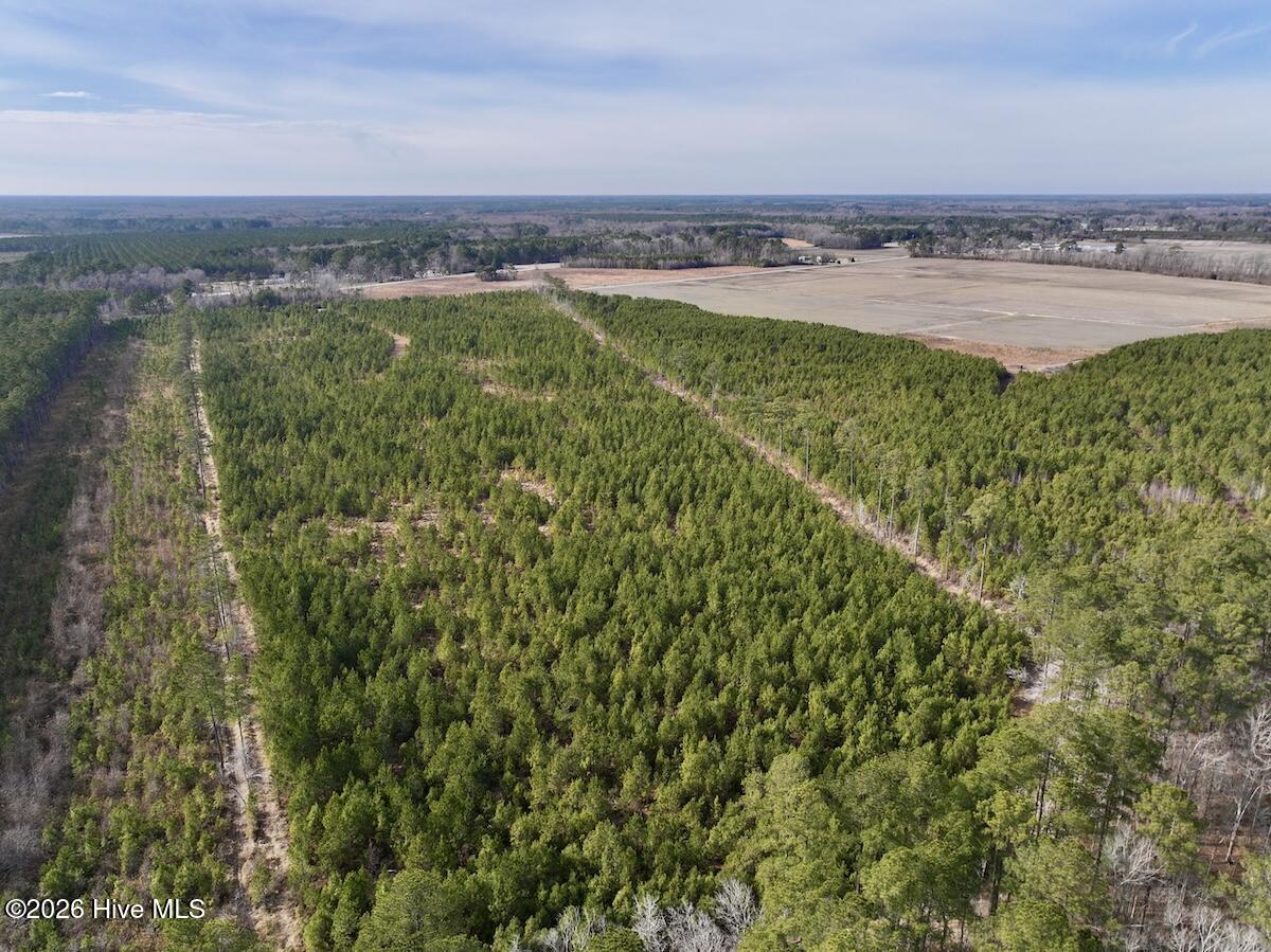 0 Old Washington Road Vanceboro, NC 28586 - Photo 5 of 34 5