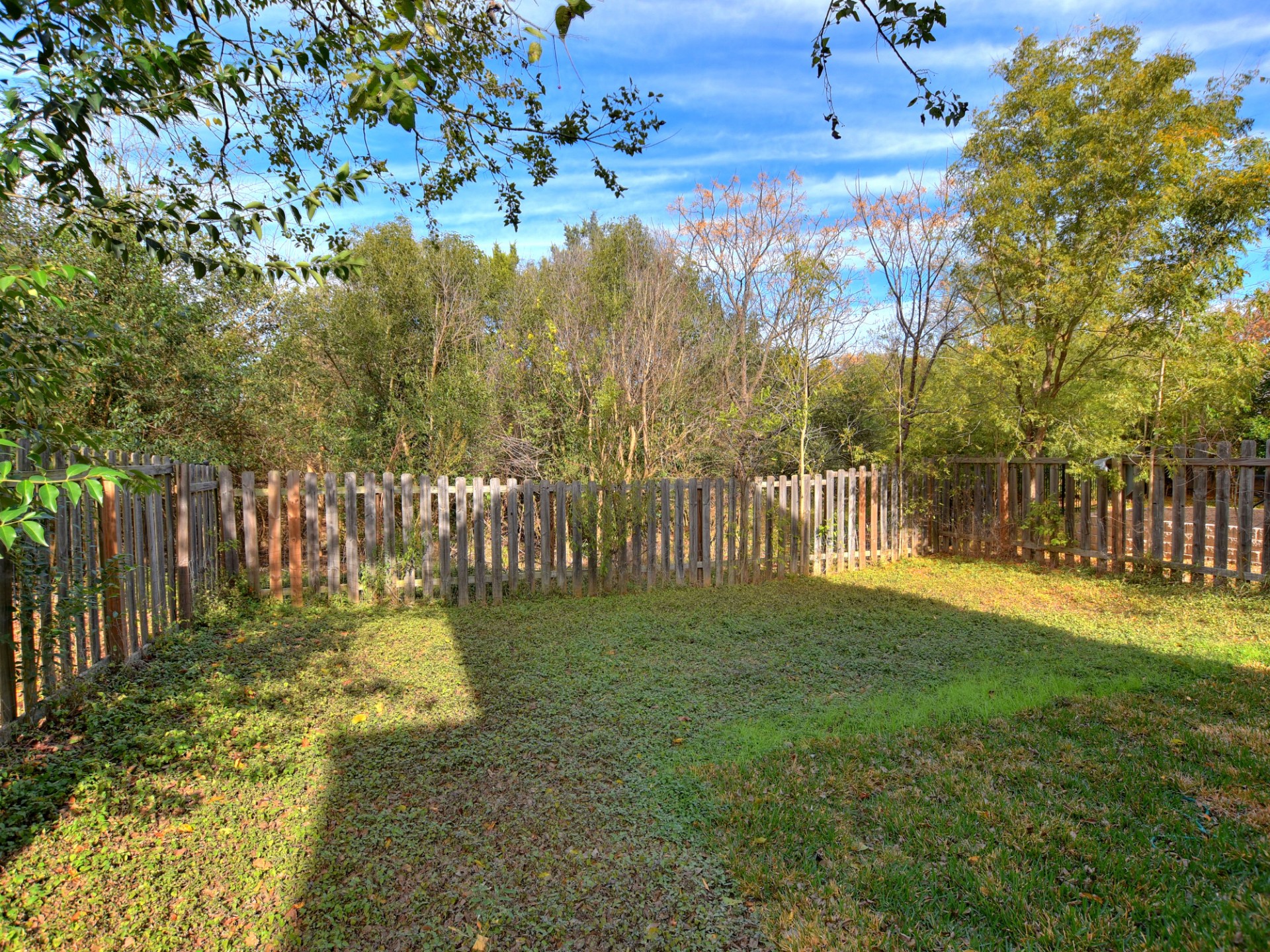 917 East 3rd Street Georgetown, TX 78626 - Photo 18 of 23 A fully enclosed yard provides private outdoor enjoyment surrounded by mature trees.