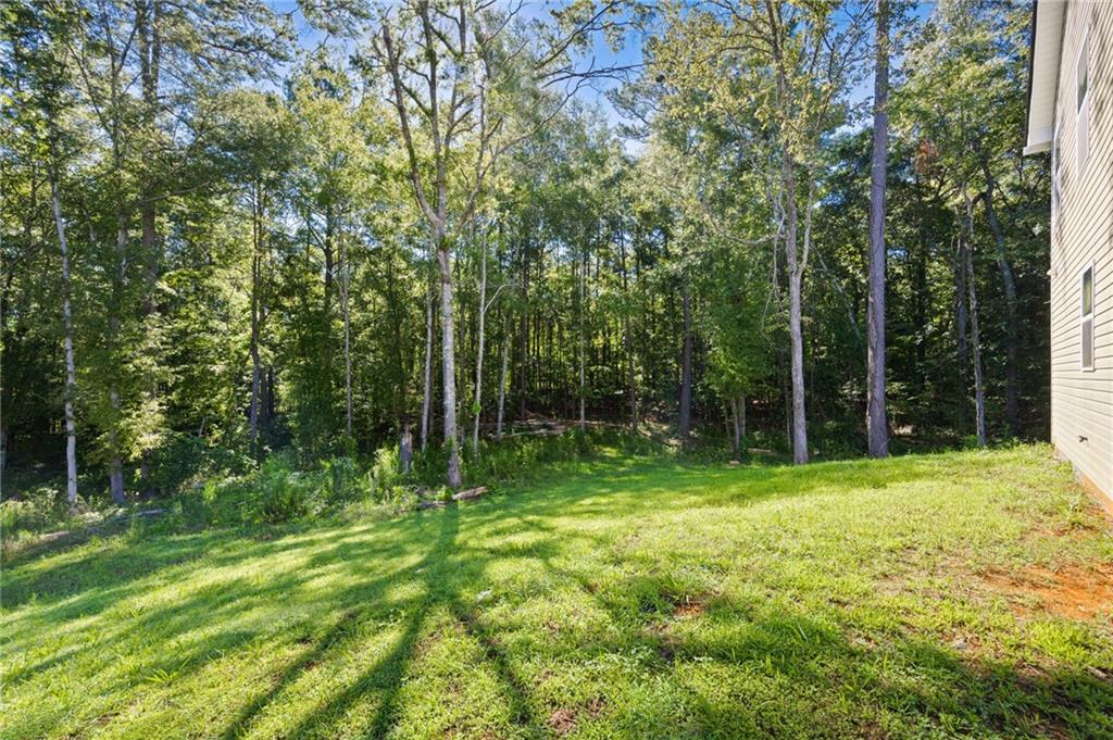 205 Pinecrest Road Cedartown, GA 30125 - Photo 27 of 27 a view of outdoor space with a garden and trees