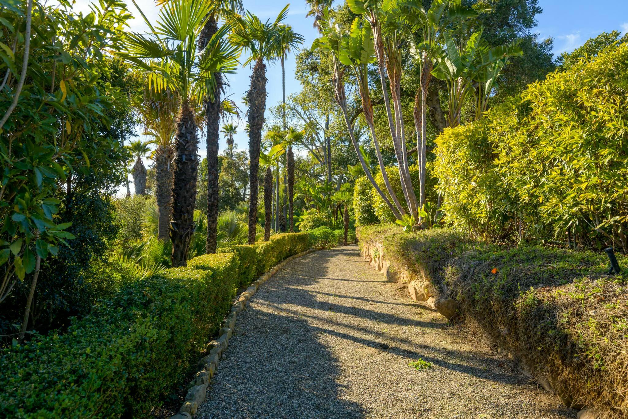 272 El Cielito Road Santa Barbara, CA 93103 - Photo 20 of 24 a view of a yard with plants and large trees