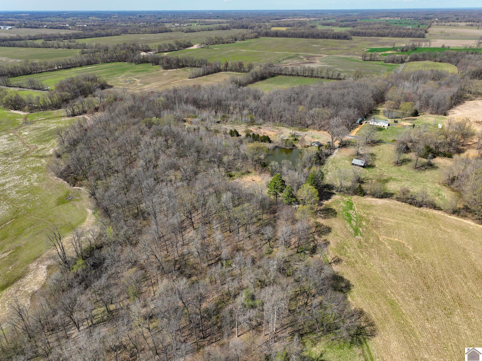 0 Copper Hill Road Mayfield, KY 42066 - Photo 4 of 16 Photo 4