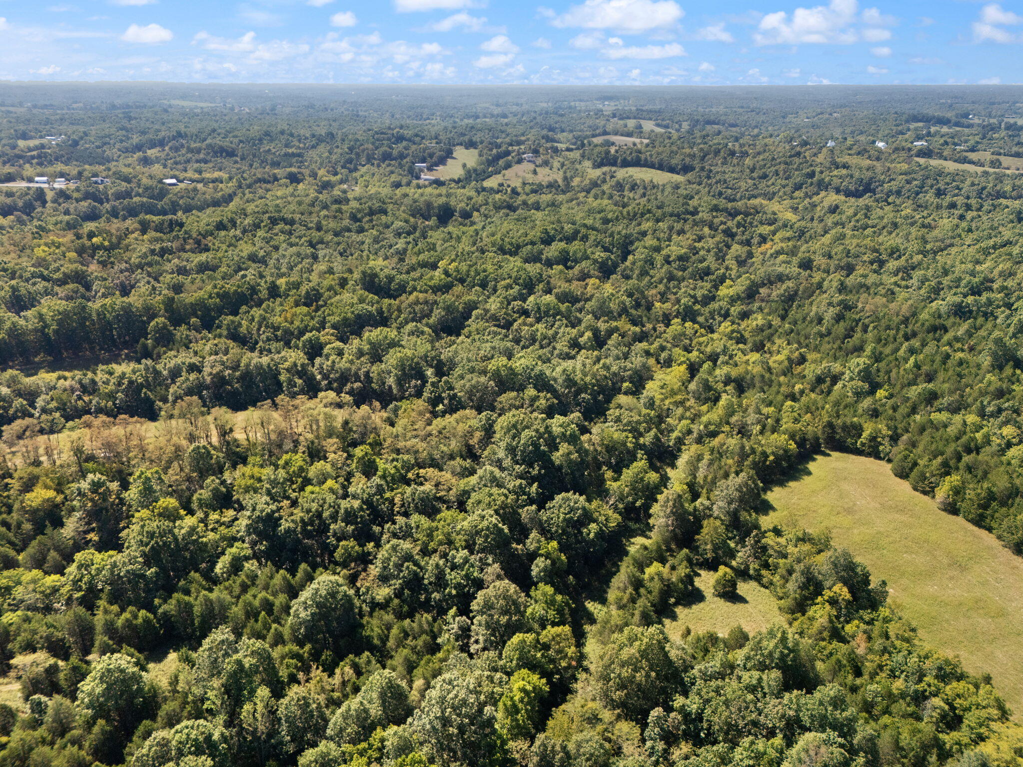 4450 Pleasant Grove Road Corinth, KY 41010 - Photo 33 of 38 34-web-or-mls-DJI_20250829111720_0173_D