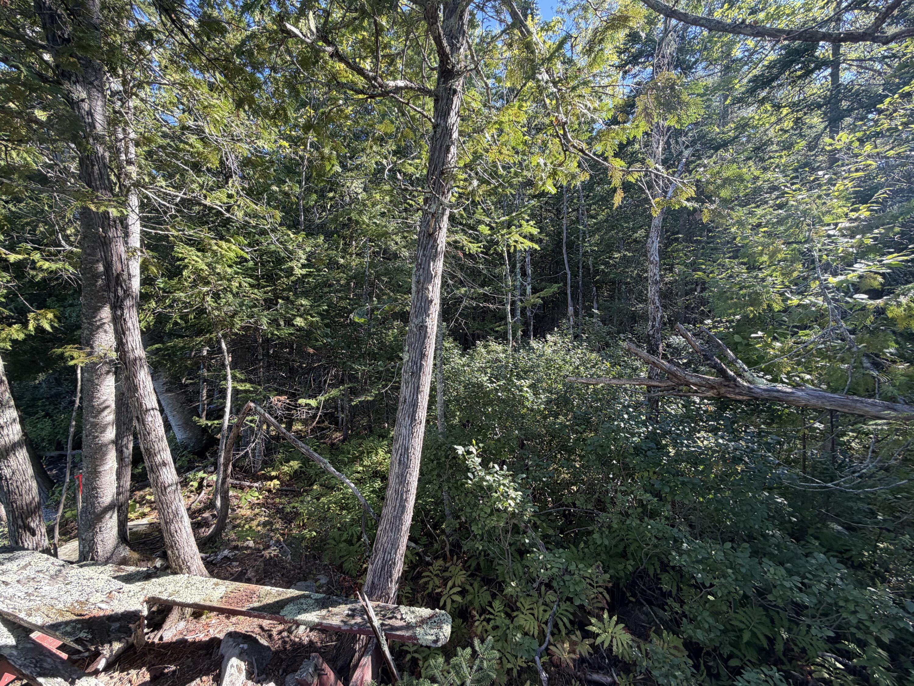 9 Map Lane Ripley, ME 04930 - Photo 13 of 16 IMG_4411
