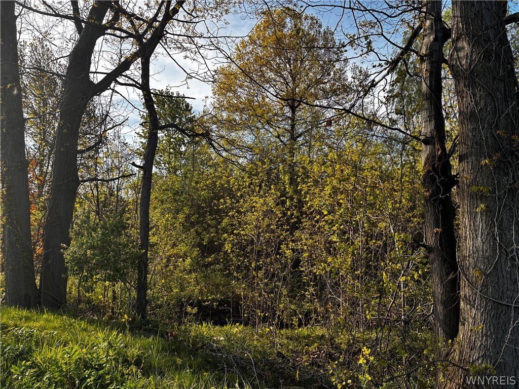 2330 Ridge Road Ransomville, NY 14131 - Photo 8 of 31