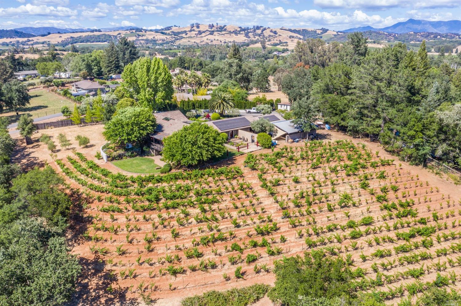a view of a bunch of trees and houses
