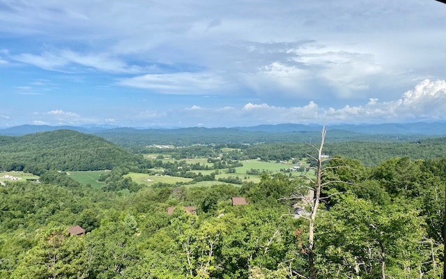 Raccoon Ridge Trail Murphy, NC 28906 - Photo 1 of 1 Main View
