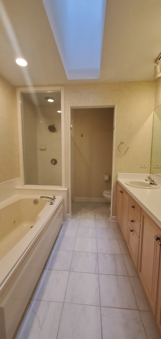 536 West Evergreen Street Wheaton, IL 60187 - Photo 17 of 27 a bathroom with a tub sink and mirror