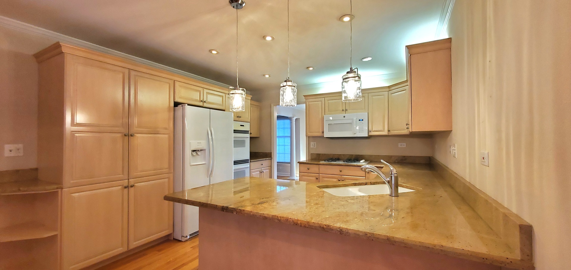 536 West Evergreen Street Wheaton, IL 60187 - Photo 5 of 27 a kitchen with stainless steel appliances granite countertop a sink refrigerator and cabinets