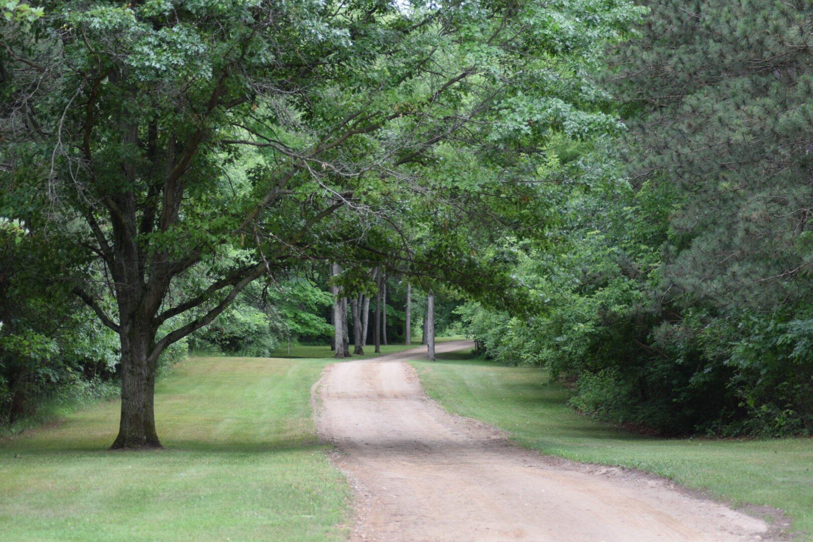 9651 Gold Lake Road Belding, MI 48809 - Photo 3 of 58 DSC_0738