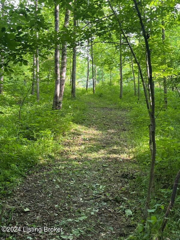 352 Goodlett Road Mount Eden, KY 40046 - Photo 32 of 43 Walking trails on property