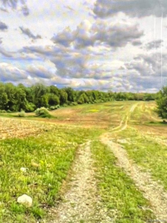 Vl Stock Road Metamora, MI 48455 - Photo 3 of 19