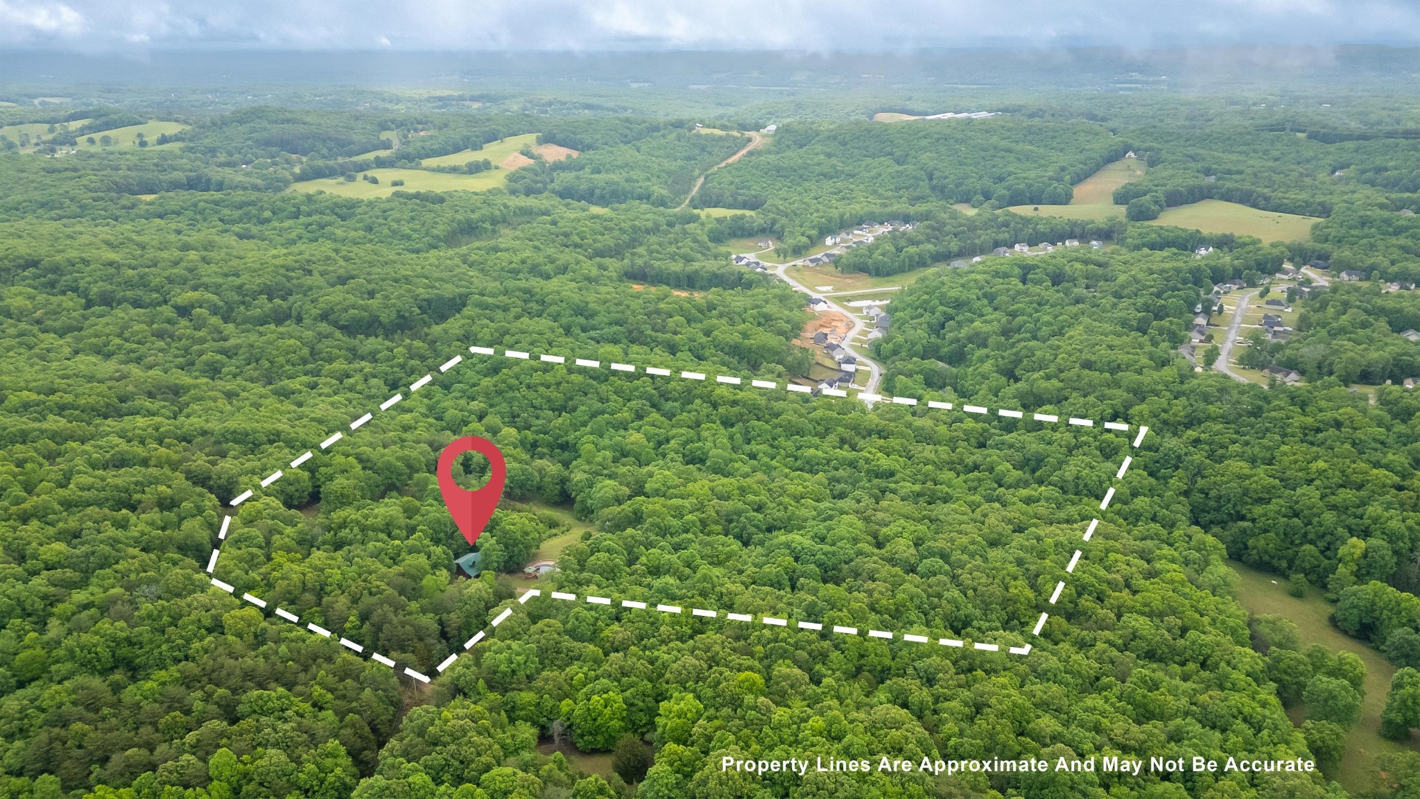 6435 Davis Hill Road Birchwood, TN 37308 - Photo 2 of 64 a view of a green yard with large trees