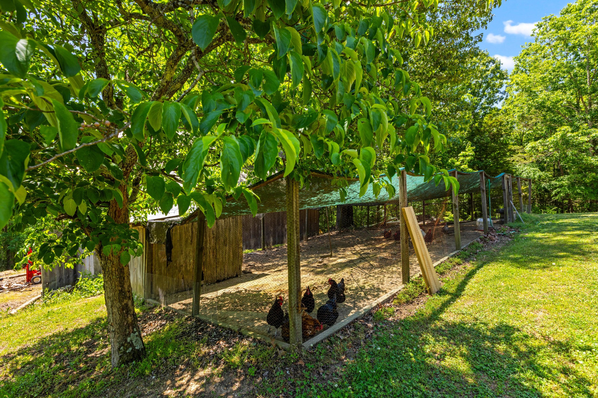 6435 Davis Hill Road Birchwood, TN 37308 - Photo 57 of 64 a view of a backyard with swimming pool