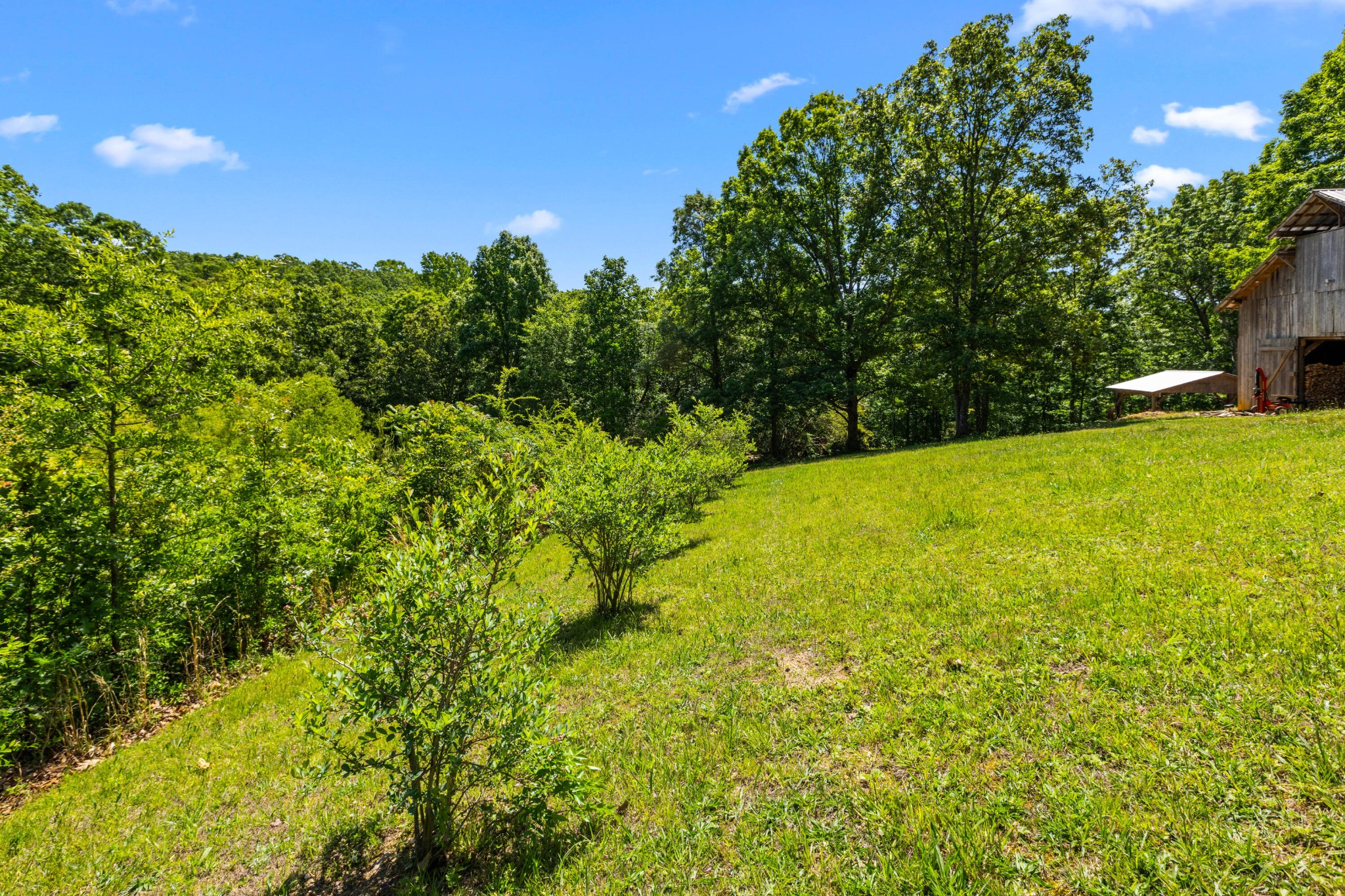 6435 Davis Hill Road Birchwood, TN 37308 - Photo 61 of 64 a view of yard with swimming pool and green space