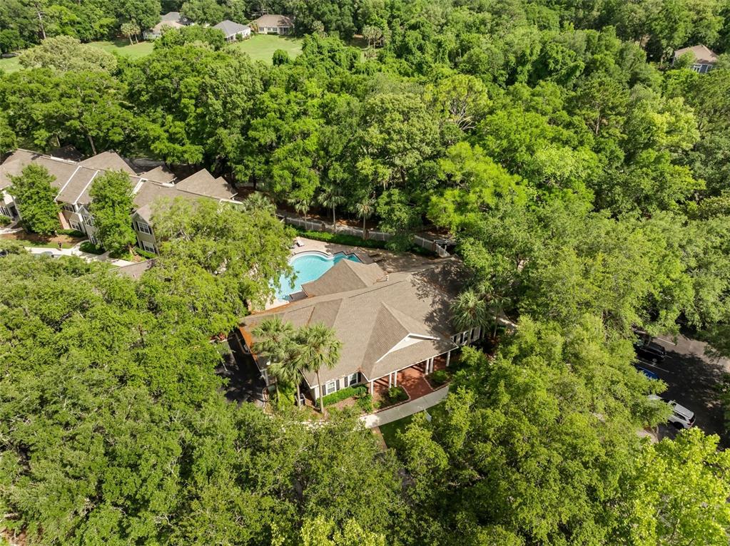 10000 Southwest 52nd Avenue, Unit 35 Gainesville, FL 32608 - Photo 30 of 36 a view of a garden with a tree
