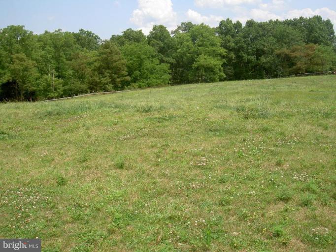 0 Double Church Road Stephens City, VA 22655 - Photo 3 of 7 Wooded View / Acreage 2