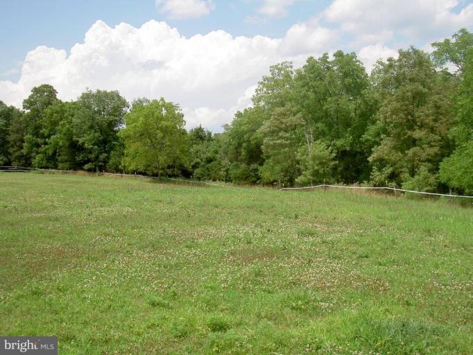 0 Double Church Road Stephens City, VA 22655 - Photo 7 of 7 Wooded View / Acreage 3