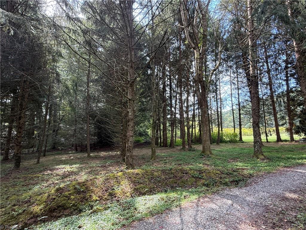 934 Mt Zion Road Deep Gap, NC 28618 - Photo 26 of 37