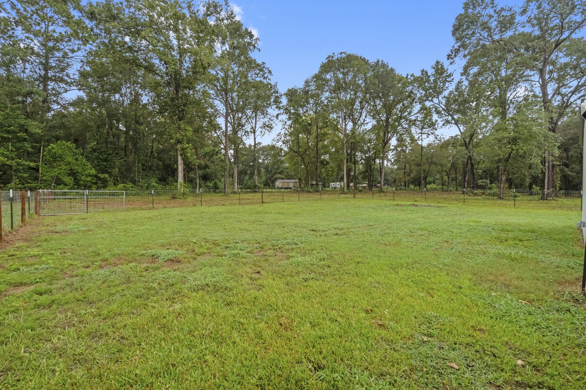 15651 Ben Wiggins Road Conroe, TX 77303 - Photo 46 of 47 a view of a grassy field with trees in the background