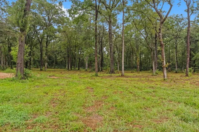 $695,000 | 15651 Ben Wiggins Road, Conroe, TX 77303