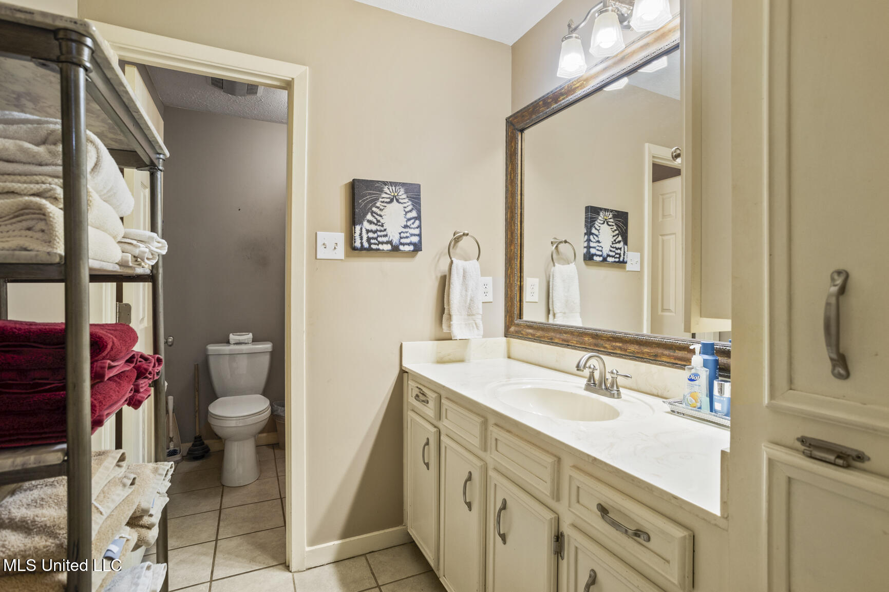 102 Spanish Moss Drive Clinton, MS 39056 - Photo 17 of 32 102 Spanish Moss-17