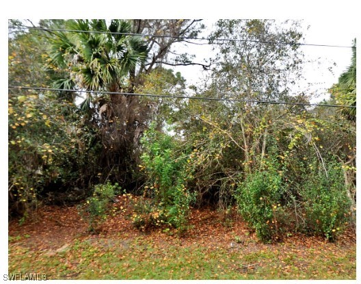 Adele St Port North Port, FL 34291 - Photo 3 of 3