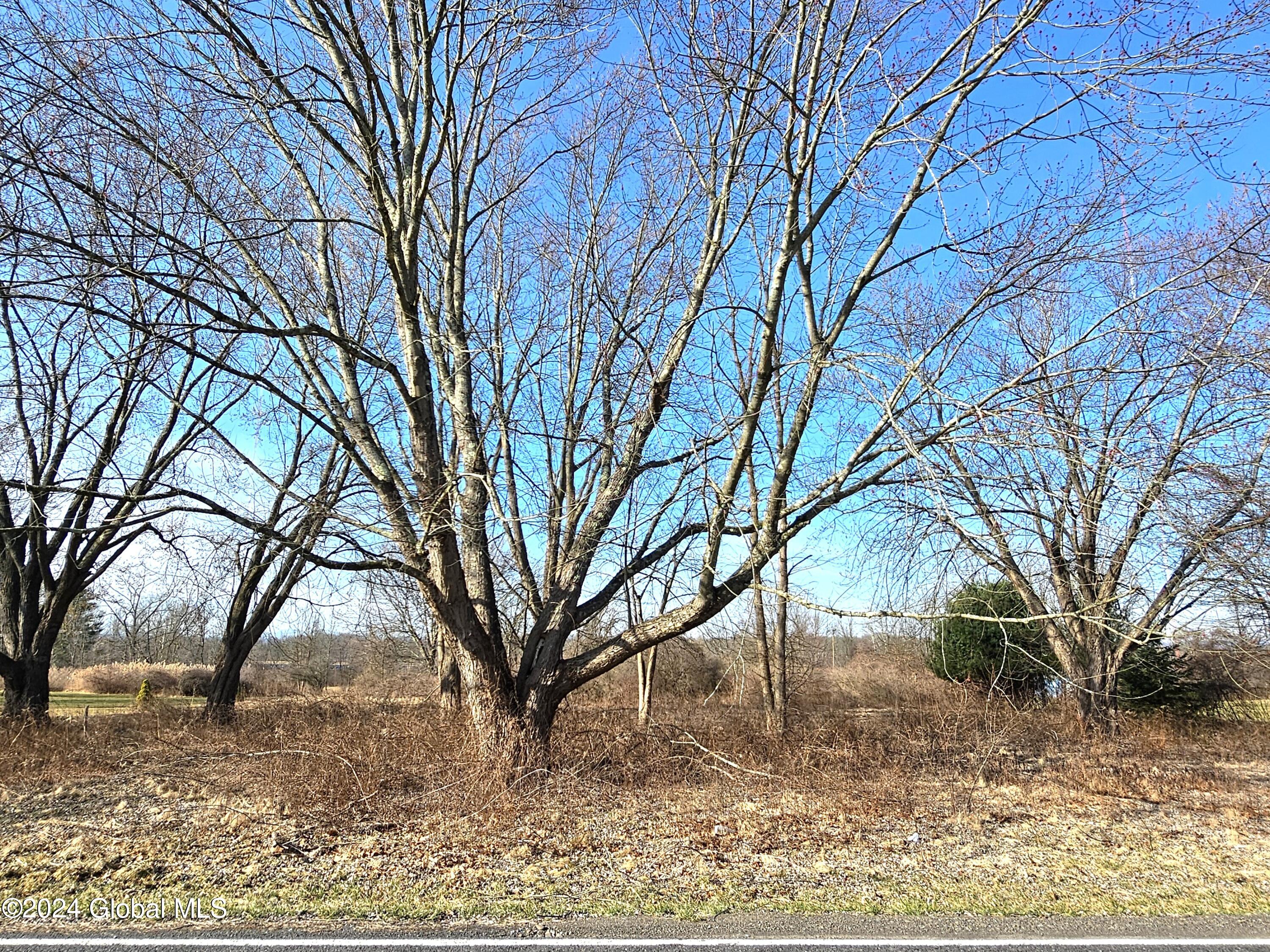 545 Wemple Road Bethlehem, NY 12077 - Photo 1 of 5 20240314_094647