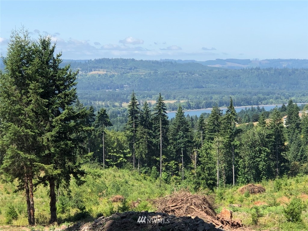 184 Falcon Road Kalama, WA 98625 - Photo 1 of 20 Gallery Image 1